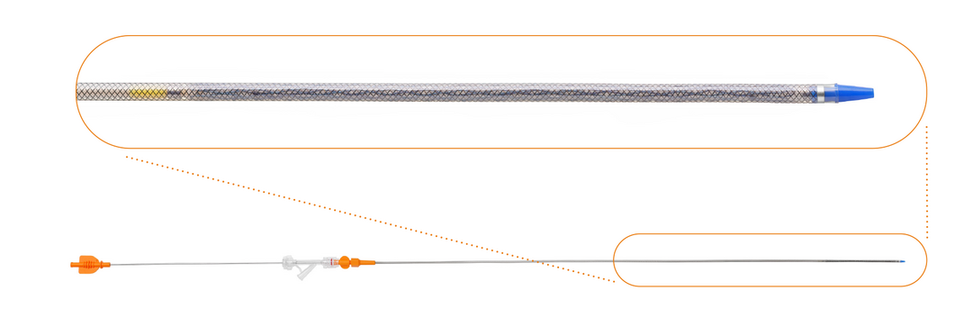 Einführsystem PTW (Percutaneous Transhepatic over the wire) für Gallengang-Stent BDP 